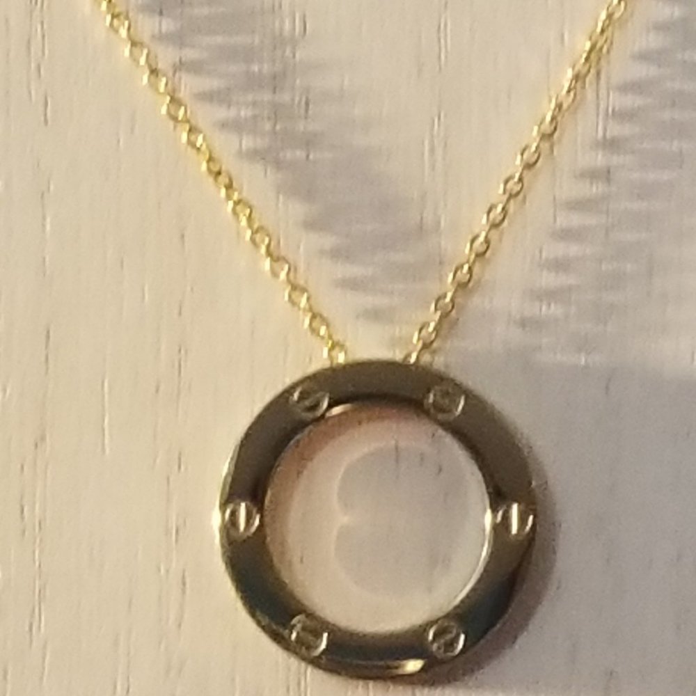 COPY - Stainless Steel Screw Necklace